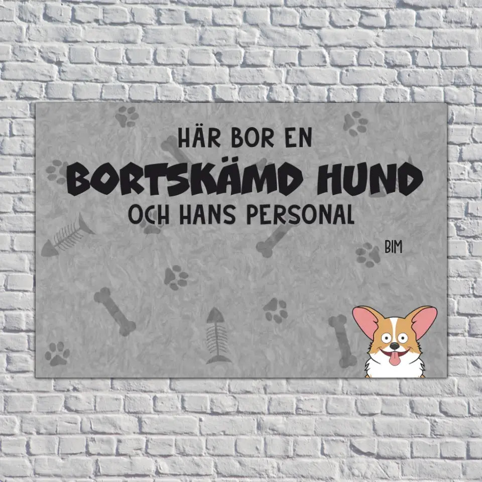 Här bor bortskämda husdjur och deras personal