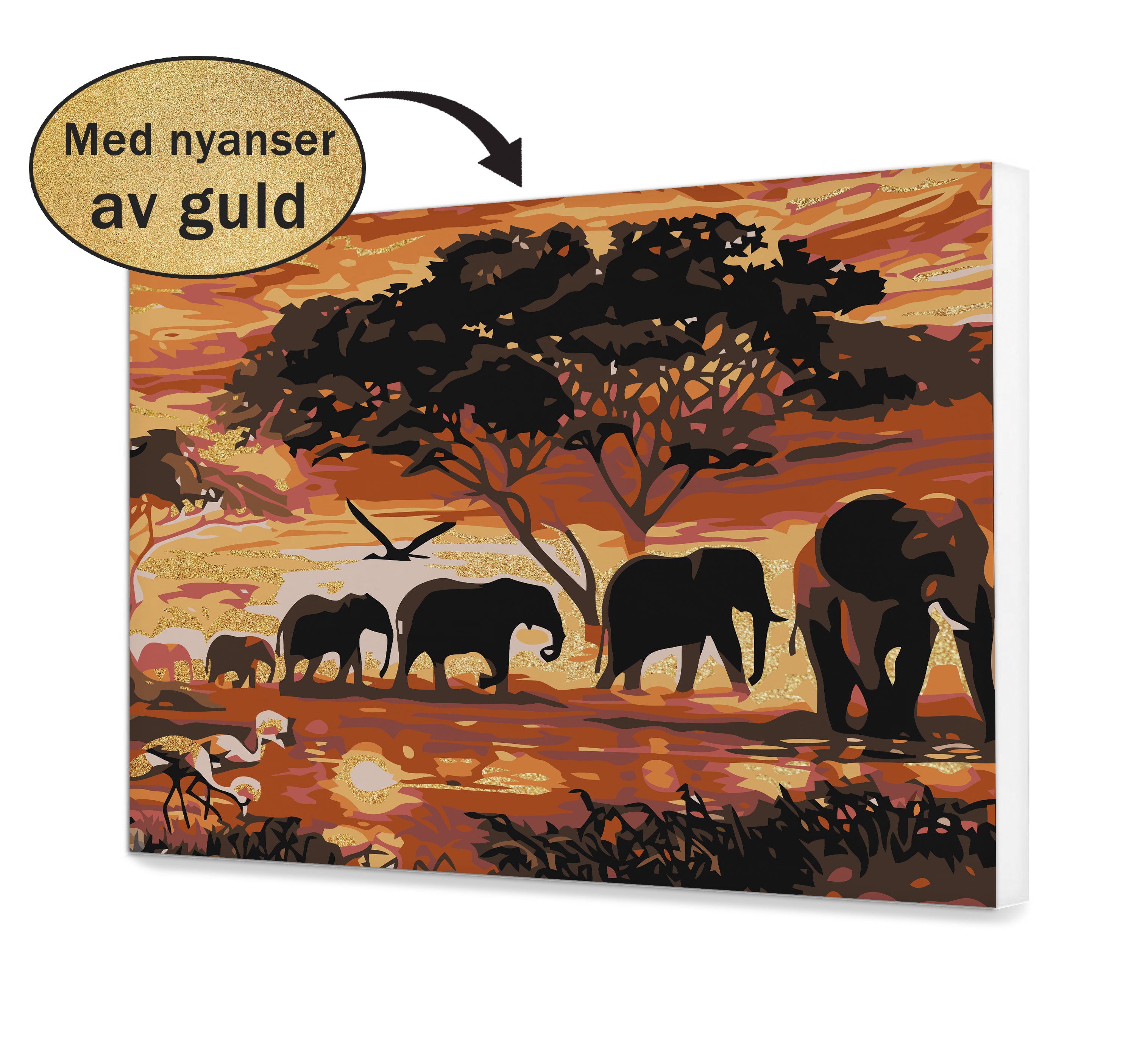 Elefant vid solnedgången